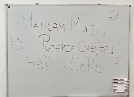cere-h3d-5